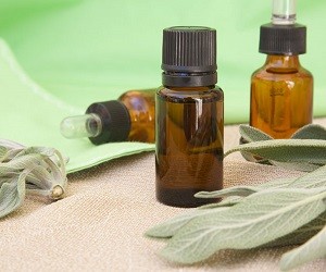 камфорное масло цена