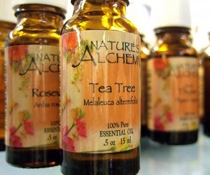 где купить масло чайного дерева