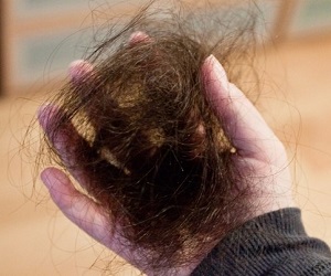 от выпадения волос отзывы