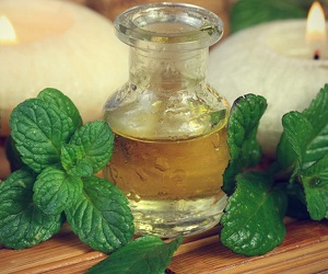 масло мяты отзывы