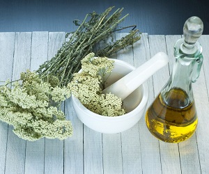 цветок тысячелистник