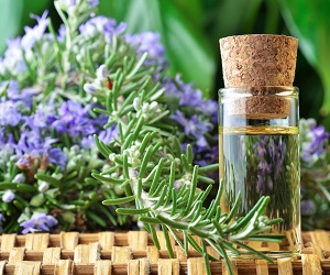 масло розмарина цена в аптеке