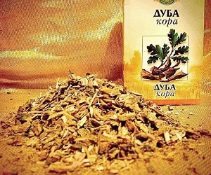кора дуба свойства
