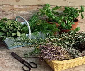 аптечные средства для роста волос