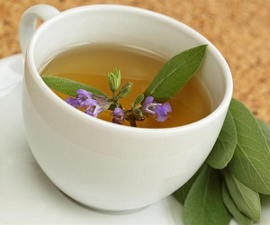 листья шалфея