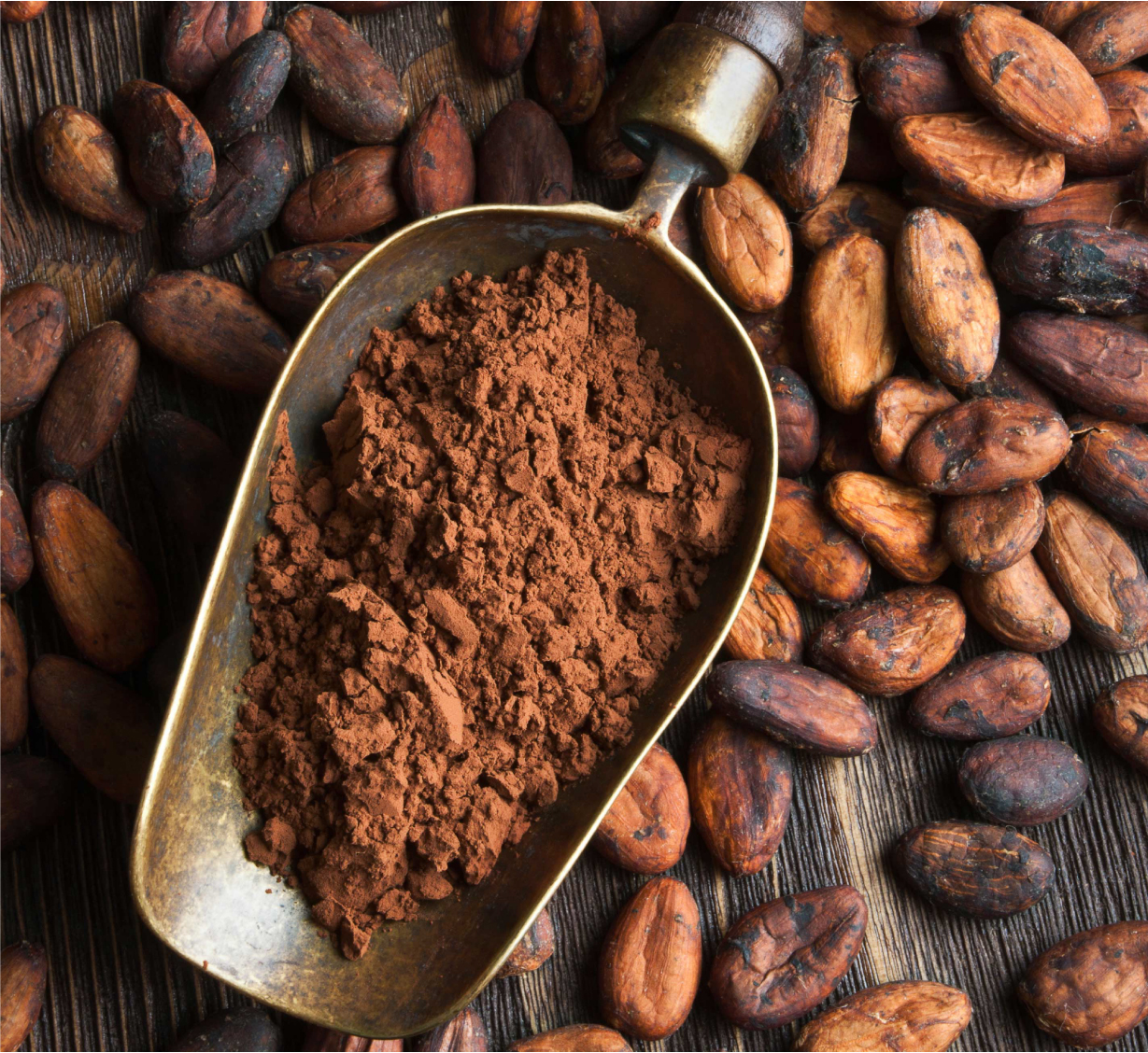 Как выбрать какао бобы