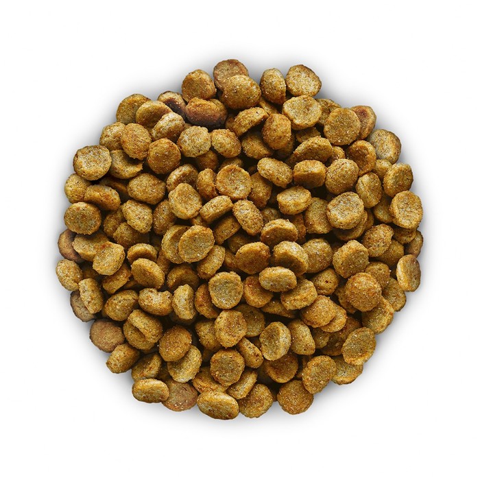 Как выбрать качественный сухой корм для собак