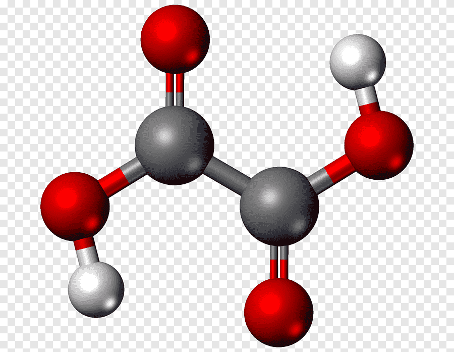 Что такое щавелевая кислота