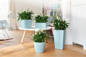 Кашпо LECHUZA: идеальное кашпо для ваших растений