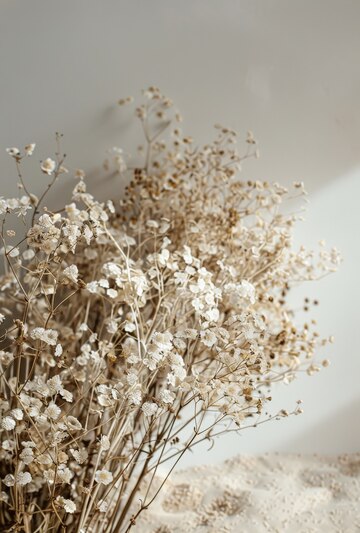 Как ухаживать за срезанными гипсофилами