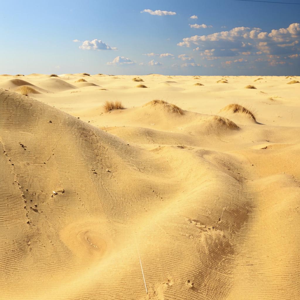 Использование песка в ремонтных и строительных работах