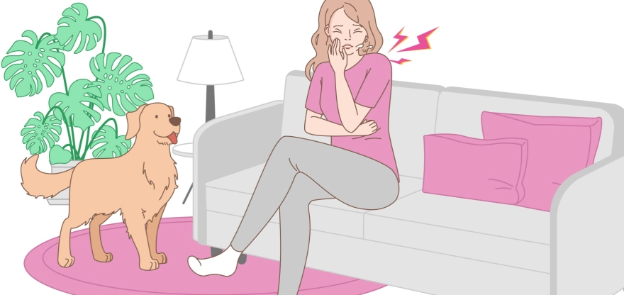 Распространенность и факторы риска аллергии на собак