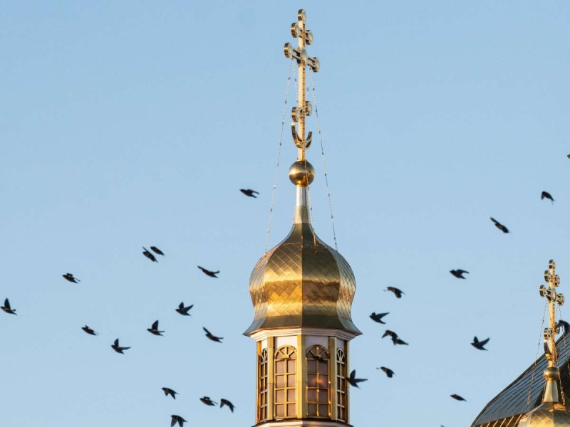 13 ноября — день Спиридона и Никодима или «Юровая»: что можно и чего нельзя делать в этот день