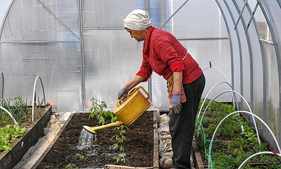 Как правильно вносить удобрения в землю перед зимовкой