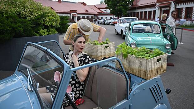 Как правильно перевозить рассаду в машине