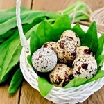 Лечение волос перепелиными яйцами: польза или вред? Рецепты яичных масок и употребление в пищу для красоты и здоровья шевелюры методы использования перепелиных яиц для волос