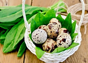 Лечение волос перепелиными яйцами: польза или вред? Рецепты яичных масок и употребление в пищу для красоты и здоровья шевелюры методы использования перепелиных яиц для волос