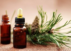 Уникальный продукт — пихтовое масло: инструкция по применению для шелковистости шевелюры методы применения пихтового масла для волос