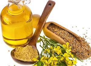 Применение, полезные свойства и противопоказания горчичного масла для волос: рецепты для роста локонов, от перхоти и других неприятностей методы использования горчичного масла для волос