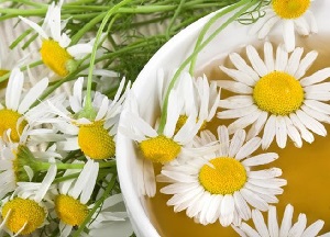 Секрет красивых локонов — ромашка для волос: полезные свойства и противопоказания, рецепты применения как использовать ромашку для волос