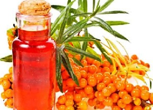 Полезные свойства и инструкция по применению облепихового масла для волос — эликсир шелковистости и красоты локонов как использовать облепиховое масло для волос