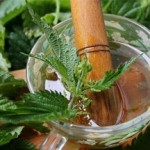 Использование крапивы для волос: полезные свойства и противопоказания, рецепты отваров, настоев и масок методы использования крапивы для волос