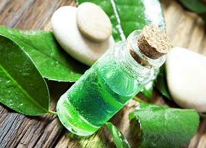 Освежите локоны маслом чайного дерева: свойства и применение для волос, рецепты масок и самостоятельное использование методы использования эфира чайного дерева для волос