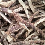 Сабельник или корень аира для волос: лечебные свойства и противопоказания, составы масок для лечения локонов методы использования корня аира для волос