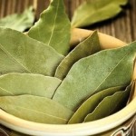 Применение для волос лаврового листа: польза и вред, воздействие на пряди и действенные рецепты масок методы использования лаврового листа для волос