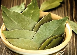 Применение для волос лаврового листа: польза и вред, воздействие на пряди и действенные рецепты масок методы использования лаврового листа для волос