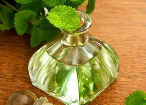 Уход за волосами при помощи эфирного масла мяты: свойства и применение, полезное действие на пряди методы использования эфирного масла мяты для волос