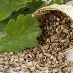 Ополаскивание и окрашивание волос корой дуба: инструкция по применению для роскошной шевелюры как использовать кору дуба для волос