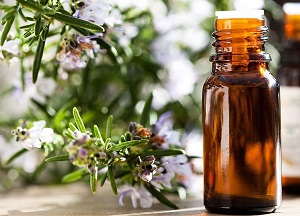 Залог красивой шевелюры — эфирное масло розмарина для волос: свойства, применение и секреты использования методы использования эфирного масла розмарина для волос