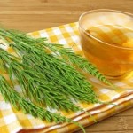 Для укрепления корней, избавления от перхоти и других проблем с волосами — хвощ полевой: лечебные свойства и применение для локонов методы использования полевого хвоща для волос