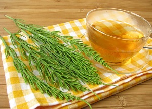 Для укрепления корней, избавления от перхоти и других проблем с волосами — хвощ полевой: лечебные свойства и применение для локонов методы использования полевого хвоща для волос