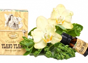 Эфирное масло иланг — иланг: свойства и применение, правила и особенности использования для волос методы использования масла иланг иланг для волос