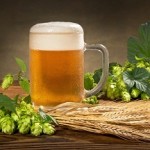 Полезные свойства пива для волос: применение, отзывы, воздействие на пряди, рецепты и общие правила использования методы использования пива для волос