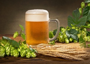 Полезные свойства пива для волос: применение, отзывы, воздействие на пряди, рецепты и общие правила использования методы использования пива для волос