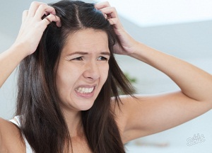 Что делать, если появляется много перхоти и чешется голова: основные причины возникновения и эффективные методы лечения как избавиться от перхоти и зуда головы