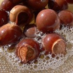 Альтернатива современным шампуням — мыльные орехи: отзывы и применение для бережного очищения волос и кожи головы методы использования мыльных орехов для мытья головы