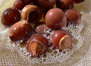 Альтернатива современным шампуням — мыльные орехи: отзывы и применение для бережного очищения волос и кожи головы методы использования мыльных орехов для мытья головы