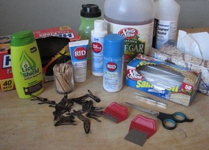 Эффективные народные средства от вшей и гнид в домашних условиях: лучшие рецепты и правила применения как избавиться от педикулеза народными средствами