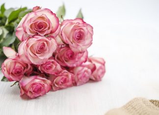 Дарим букет из роз