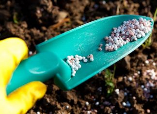 КАКИЕ УДОБРЕНИЯ ВНОСИТЬ ВЕСНОЙ