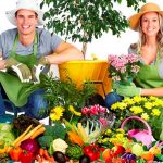 Всё для садовода