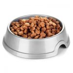 Плюсы использовать сухой корм