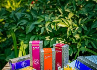 Уникальная серия чаев TEAVITAL на сайте greenway