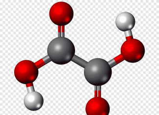 Что такое щавелевая кислота