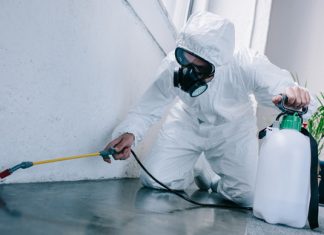 Как лучше травить тараканов: самостоятельно или с помощью специальных служб