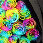 Радужные розы — оригинальный сюрприз